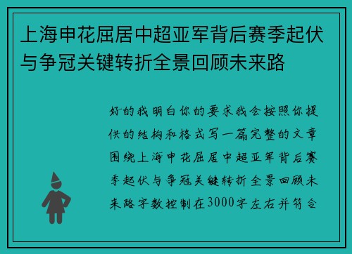上海申花屈居中超亚军背后赛季起伏与争冠关键转折全景回顾未来路